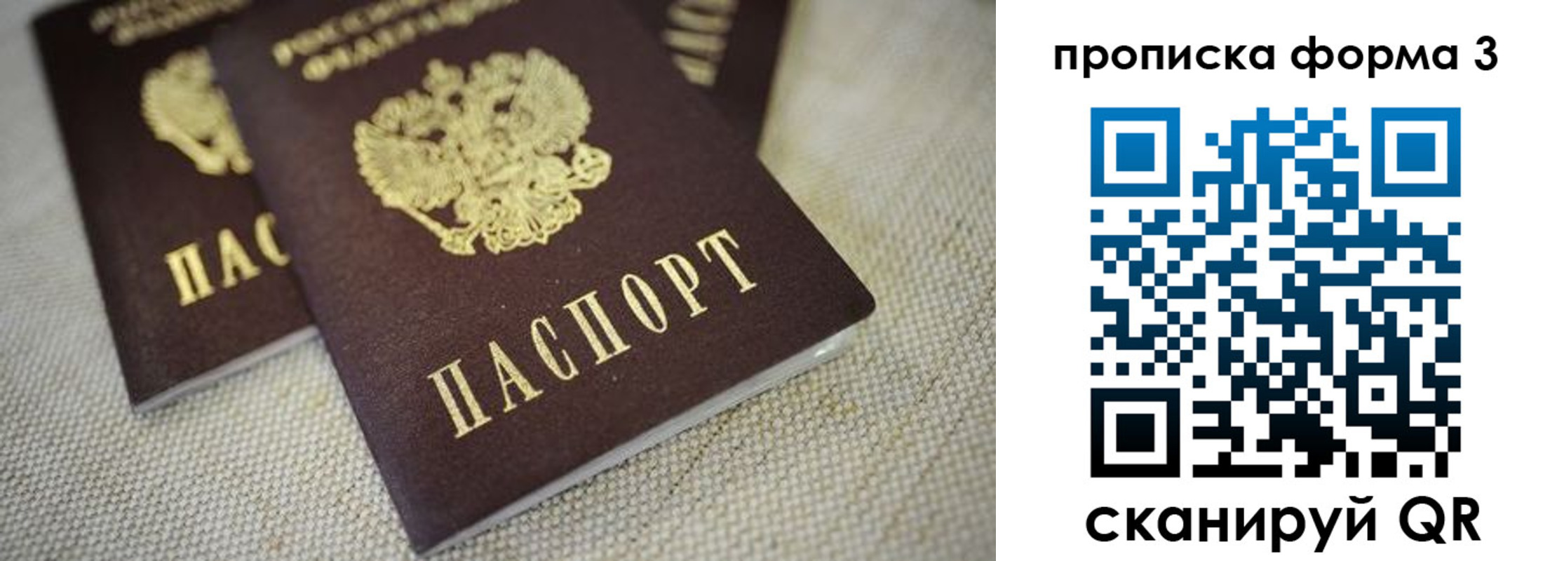 прописка поиск в Владимирской области